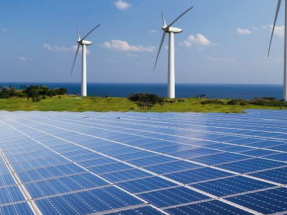 El calendario de subastas renovables pretende asegurar los objetivos del PNIEC a 2025