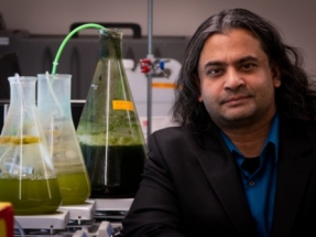 University of Utah Engineers Develop New Method to Convert Algae to Biofuel