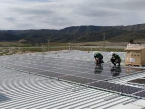 La empresa frutícola que reduce su factura hasta en un 30% con su instalación de autoconsumo solar