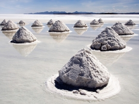 Bolivia busca multiplicar su protagonismo mundial en el suministro de litio