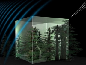 SENER to Develop Devices for Biomass Satellite Structure