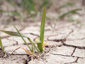 El Supremo da luz verde al primer litigio climático contra el Gobierno español