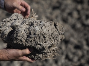 Vox promete derogar la ley de cambio climático