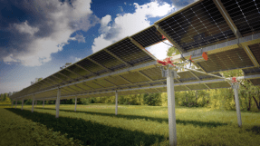 Soltec suministra 175 MW de su seguidor SFOne a Jinko Power para una planta fotovoltaica en Málaga  