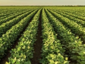 Argentina: 2022 cerrará con un récord de exportaciones de biodiésel y bioetanol