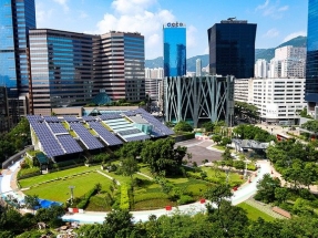 Future of Oil and Natural Gas Uncertain: Is This the Time for Renewables to Rise? Future of Oil and Natural Gas Uncertain: Is This the Time for Renewables to Rise?