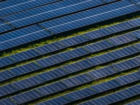 AMEA Power Closes on 120MW Doornhoek Solar PV Project in South Africa