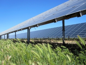 Sonnedix adquiere una cartera solar de 112 MW a instalar en Castilla y León