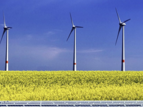 El Miteco lanza una consulta pública para incluir nuevos criterios en las subastas renovables