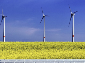El proyecto de RD de subastas de energías renovables inicia su tramitación