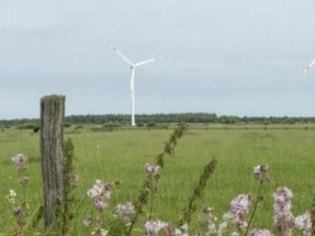 Gas Natural Fenosa adjudica a Siemens un contrato para instalar 28,4 MW en tres parques eólicos de Canarias