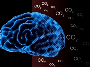 Evitar que la temperatura del planeta suba más de 1,5°C, clave para reducir la probabilidad de fenómenos meteorológicos extremos