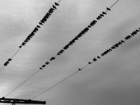 Las eléctricas hacen su agosto con la guerra