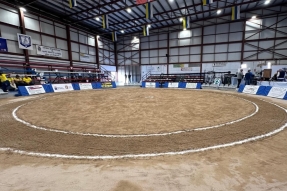 La lucha canaria se sube al carro del autoconsumo solar