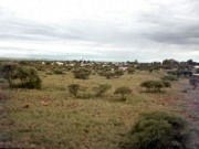 Isolux Corsán construirá una planta FV de 60 MW en Sudáfrica 