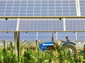 Queda prohibido instalar energía solar en 3,8 millones de hectáreas de suelo durante 50 años