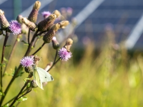 El Plan Nacional de Algoritmos Verdes, un nuevo paso en la transición ecológica