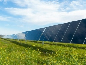 UbiQD Expands Collaboration with First Solar on Quantum Dot-Enhanced Solar Modules