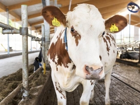 Valio and St1 Joint Venture Ready to Increase Domestic Biogas Production