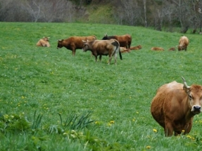 Cambiar el modelo agroalimentario es una de las claves para la supervivencia del planeta