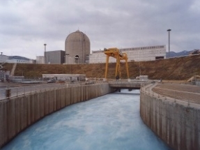 Una fuga en el sistema de refrigeración obliga a parar la central nuclear de Vandellós