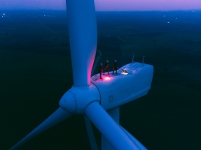 Vector Renewables alcanza los 4.000 megavatios de proyectos renovables gestionados en todo el mundo
