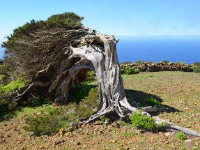 ¿Una hora menos en Canarias? No, siete años por detrás