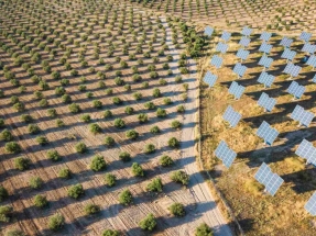 Los megaparques solares devuelven la naturaleza al campo y llenan las arcas locales