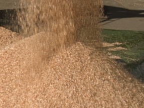GE Supplying Steam Technology for High Efficiency Biomass Power Plant 