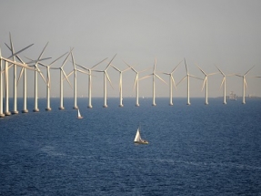 NSW Scores Contract for Development of Cable System for Offshore Wind Farm