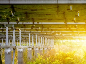 Walmart, US Solar Announce Agreement for 36 Community Solar Gardens Walmart, US Solar Announce Agreement for 36 Community Solar Gardens