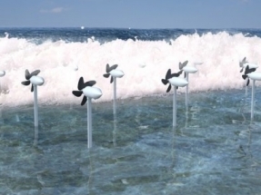 OIST to Test Wave Energy Converter Units in Maldives