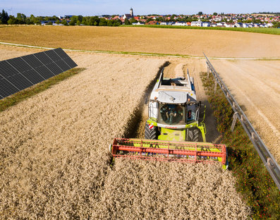 El conflicto entre agricultura y fotovoltaica no existe