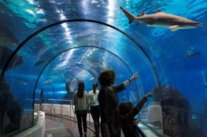 L’Aquàrium de Barcelona apuesta por la tecnología LED y consigue un ahorro del 70% 
