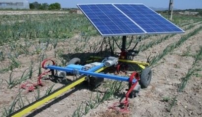 Castilla La Mancha apoyará a los jóvenes agricultores que creen empresas que usen renovables
