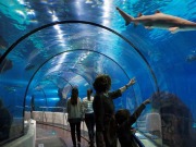 L’Aquàrium de Barcelona apuesta por la tecnología LED y consigue un ahorro del 70% 