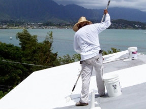 Los llamados techos frescos ayudan al ahorro en el uso del agua de irrigación urbana