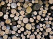 Madera local y certificada para una construcción más sostenible