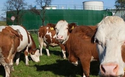 Biogest receives second order to build agricultural biogas plant in Turkey