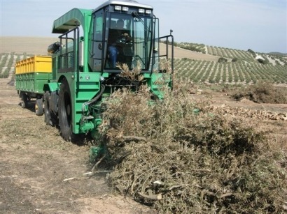 Andalucía ofrece financiación a tres proyectos de biomasa del CTAER