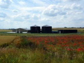 Gas Goes Green project to explore how biomethane could work alongside hydrogen to accelerate net zero efforts
