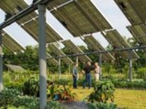 Clean Energy Council publishes Australian Guide to Agrisolar for Large-scale Solar