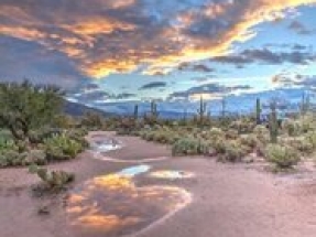 Cemvita signs strategic partnership with Arizona Lithium for lithium extraction