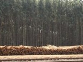 Enviva launches new wood biomass supply tracking system