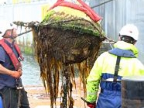 ICIT and EMEC collaborate on biofouling solutions project