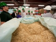 Green Investment Bank supports small scale biomass boilers