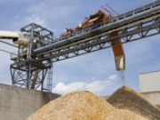 Yokogawa to supply control system for Brazilian biomass plant