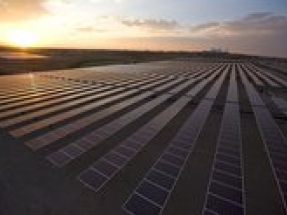 Corporate solar adoption in the US soars, accounting for 14 percent of the US solar market Corporate solar adoption in the US soars, accounting for 14 percent of the US solar market