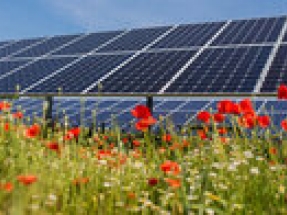 RSPB partners with renewable energy company Lightrock Power on biodiversity