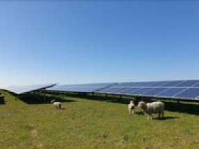 Vantage RE embarks on first solar builds in the UK
